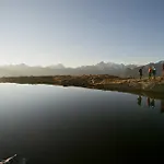Sunshine Superior 